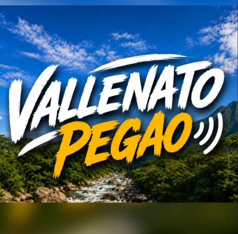 Imagen representativa de 🪗 VALLENATO PEGAO!! ✨